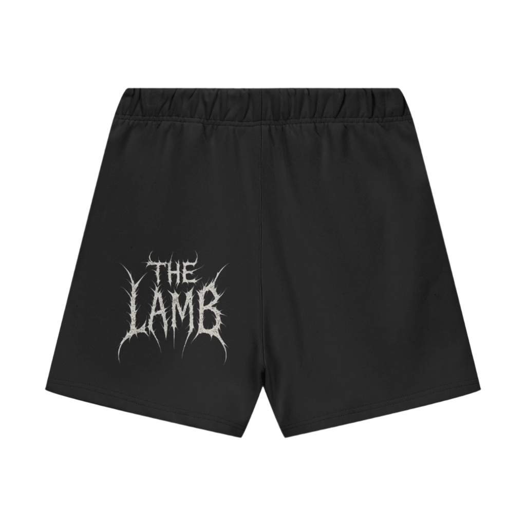 Streetwear Unisex Heavyweight 460G Fleece Loose Fit Shorts